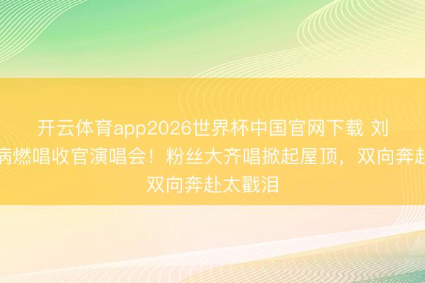 开云体育app2026世界杯中国官网下载 刘宇宁带病燃唱收官演唱会！粉丝大齐唱掀起屋顶，双向奔赴太戳泪
