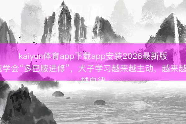 kaiyun体育app下载app安装2026最新版 当我学会“多巴胺进修”，犬子学习越来越主动，越来越自律